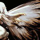 Illustration for article titled Bravely Default May Become a Yearly Series, Depending on Sales